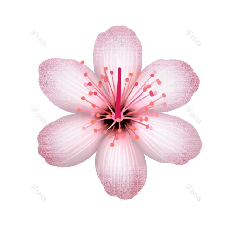 装饰图片,元素元素,插画PNG,粉红色的花免抠素材